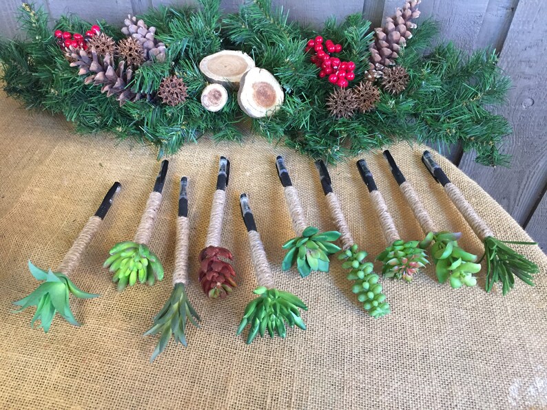 May include: Ten small succulent arrangements tied with twine and black ribbon. The arrangements are on a burlap background.