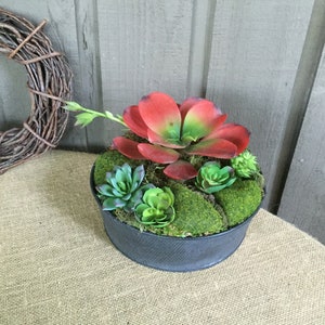 Faux Succulent arrangement/ modern arrangement/ succulent arrangement/ exotic succulent arrangement/ exotic succulents/