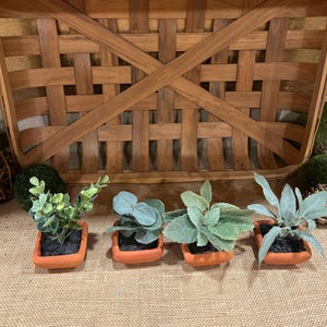 Small Greenery in terra cotta pots coffee table decor
