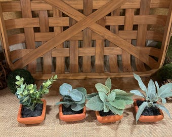 Small Greenery in terra cotta pots coffee table decor