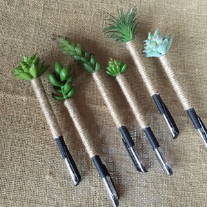 May include: Eight pens wrapped in twine with different types of green succulents attached to the top.