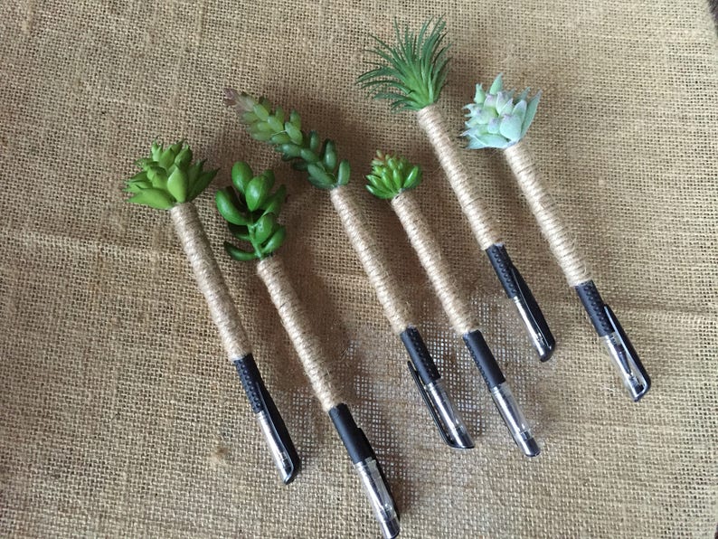 May include: Eight pens wrapped in twine with different types of green succulents attached to the top.