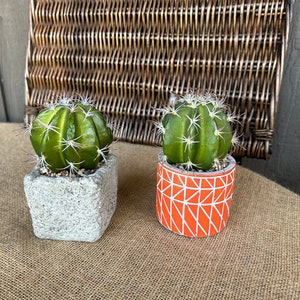 Set of faux cactus plants in cement containers faux cactus succulents gift for cactus lover cement containers southwestern cactus decor