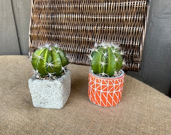 Set of faux cactus plants in cement containers faux cactus succulents gift for cactus lover cement containers southwestern cactus decor