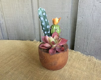 Small faux succulent arrangement kitchen, shelf or office
