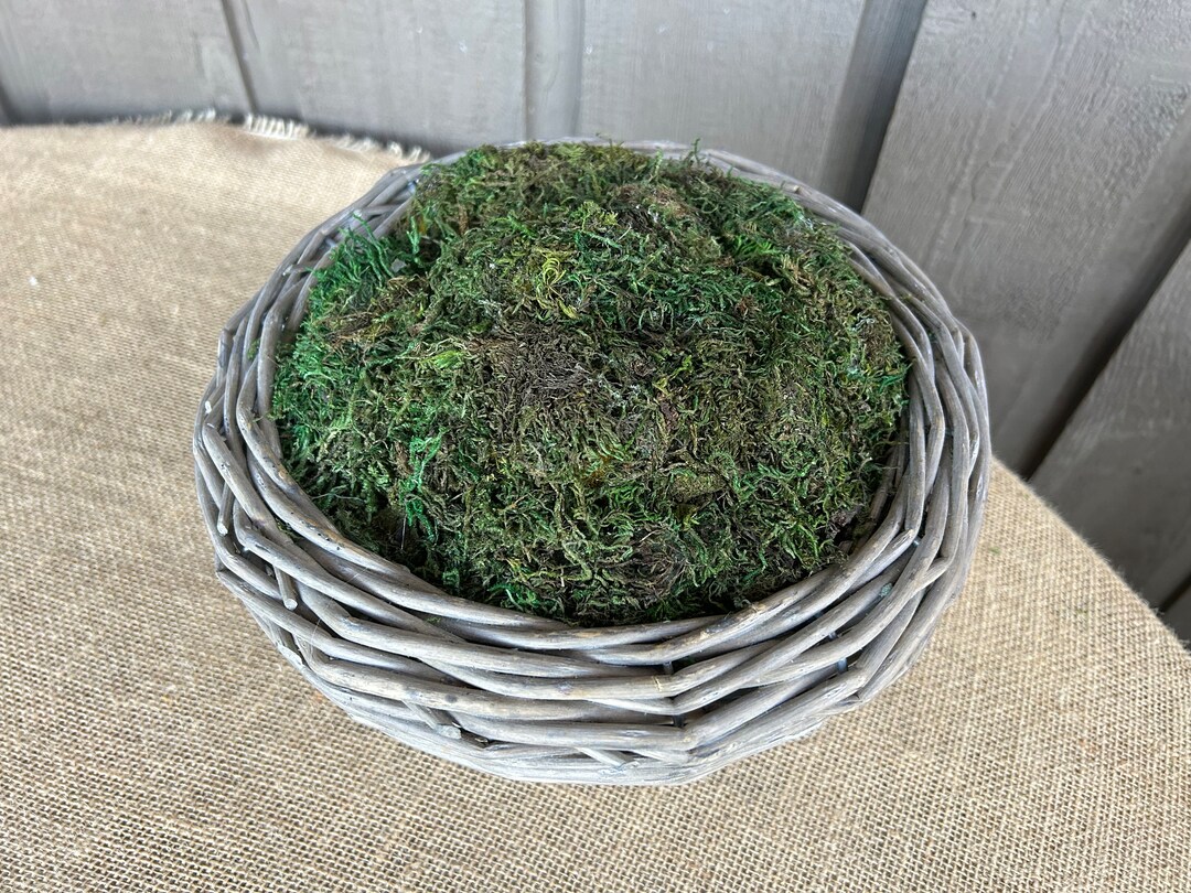 Moss Arrangement/ Bowl of Moss/ Moss Bowl/ Wicker Bowl Filled With Moss