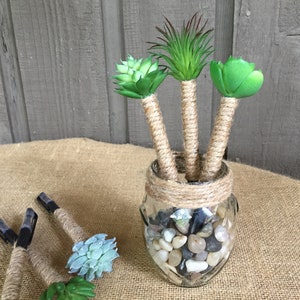 May include: Three faux succulent plants in a glass jar with a burlap rope wrapped around the top. The jar is filled with small gray and white stones. The plants are in a burlap-covered vase.