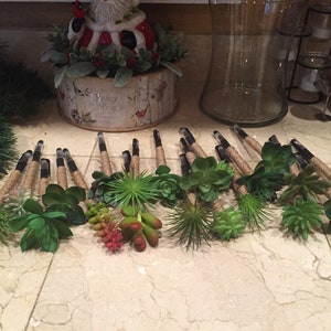 May include: A collection of 17 succulent pens with brown twine wrapped around the base of each pen. The pens are arranged in a row on a white tiled surface.