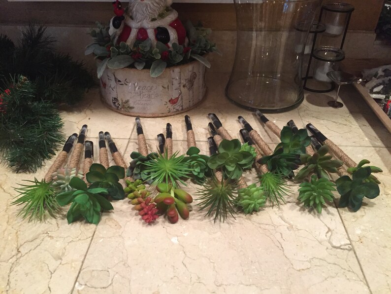 May include: A collection of 17 succulent pens with brown twine wrapped around the base of each pen. The pens are arranged in a row on a white tiled surface.