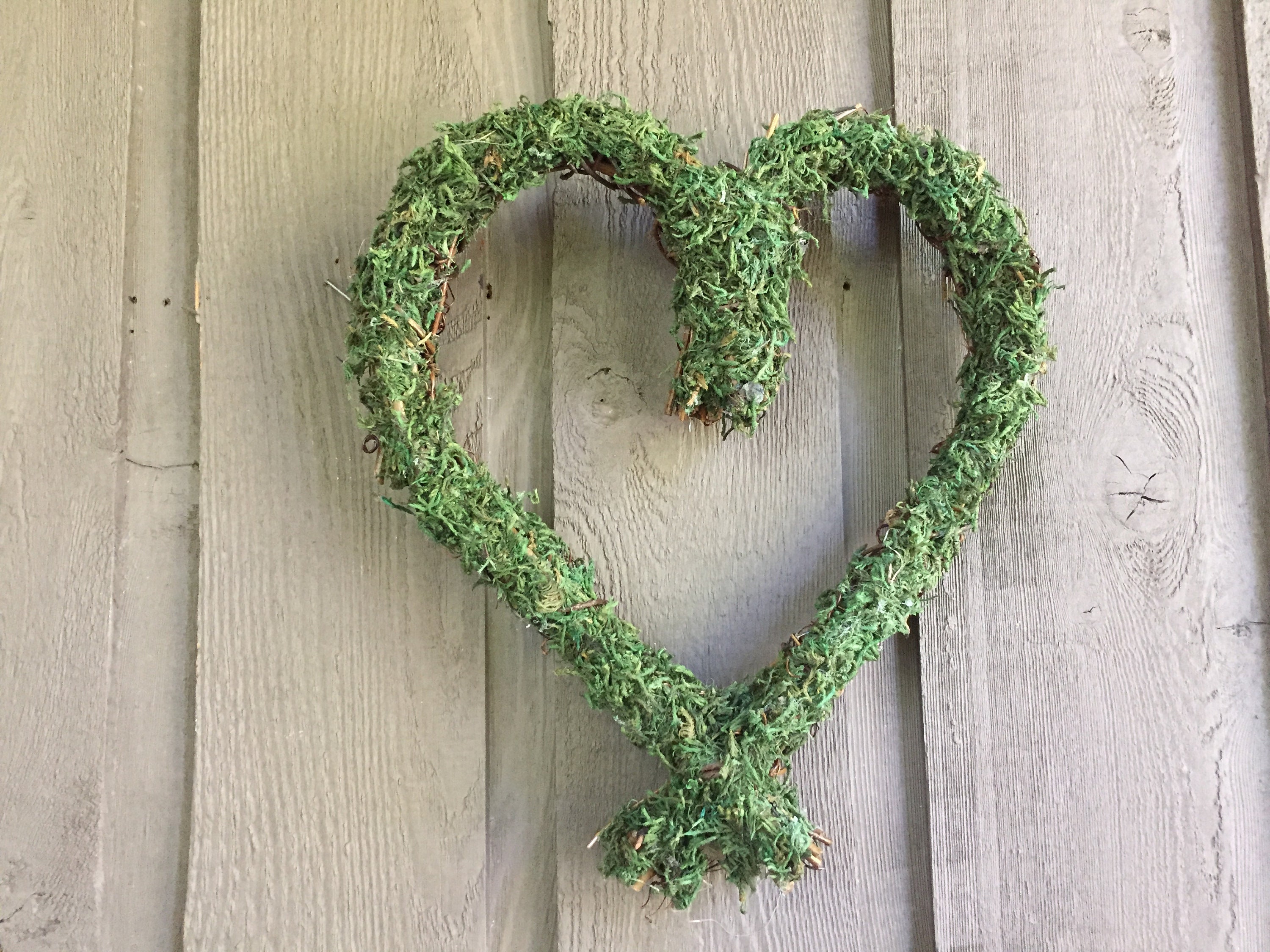Preserved Green Heart-Shaped Wreath, 16Dia.