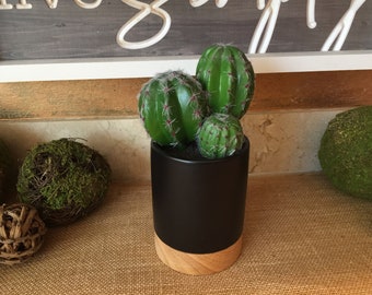Faux cactus arrangement modern all seasons decor gift with no upkeep