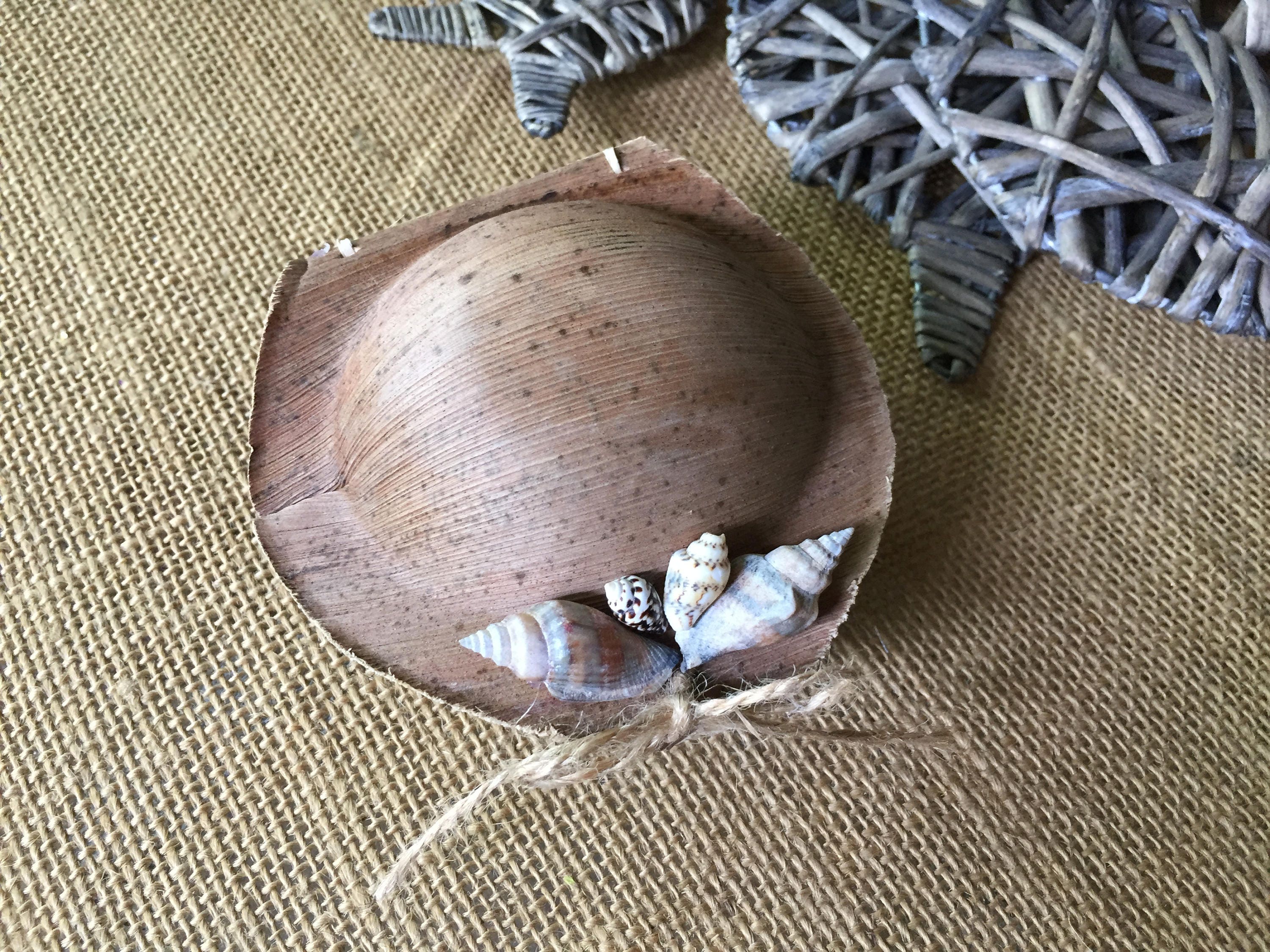 shell ring box