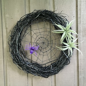 Spider web Halloween wreath black Halloween spider wreath with succulent black grapevine wreath air plant succulent spooky Halloween decor