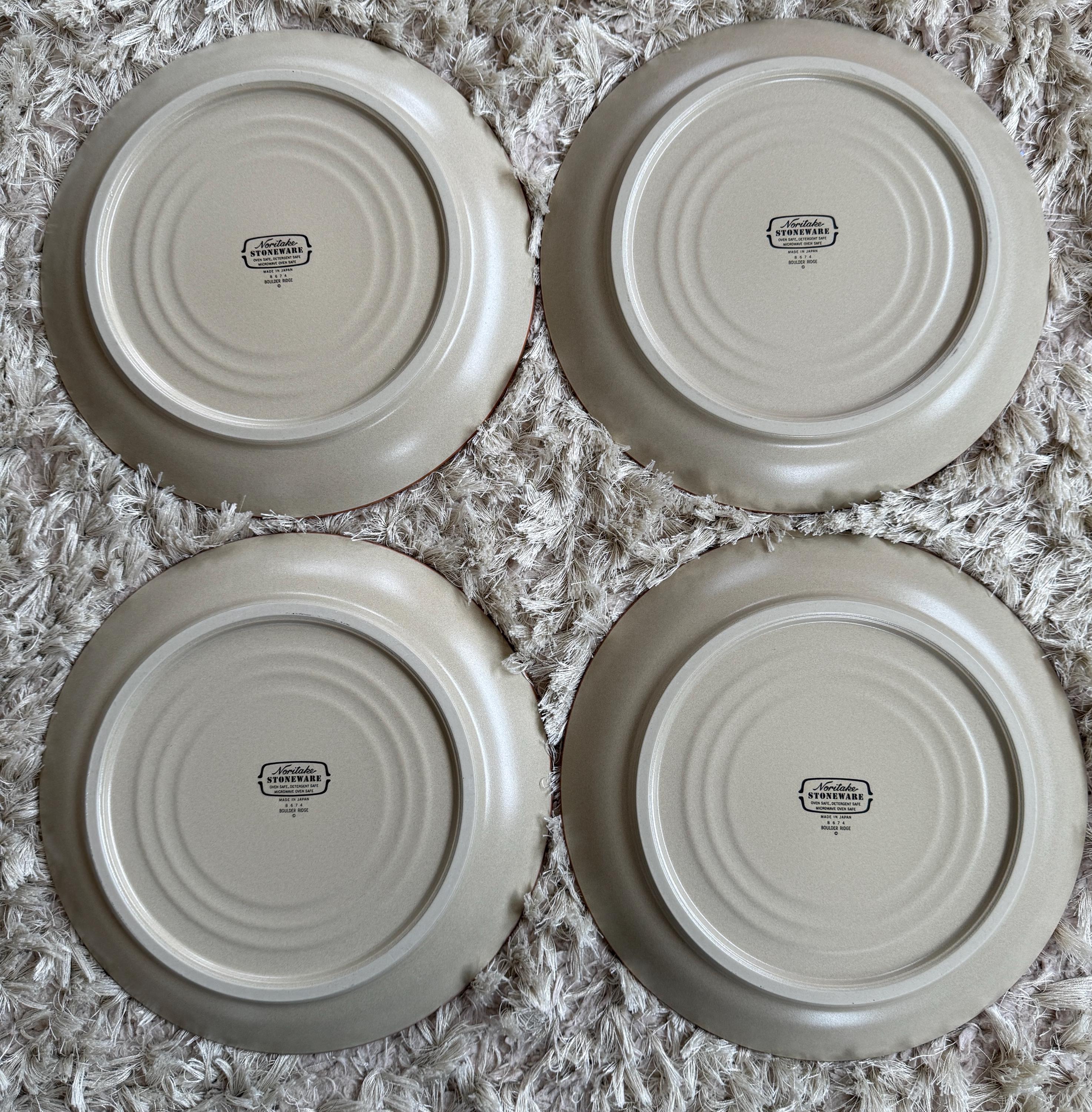 Noritake Boulder Ridge Dinner Plates Stoneware Plates 10 1/4 Inch