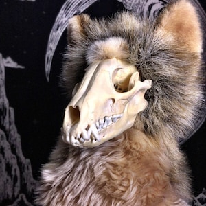 Artistic Freedom - Skull Plush - Real Bone - Exposed Animal Skull Plushie - Room Guardian - Made to Order - Stuffed Animal with Real Skull