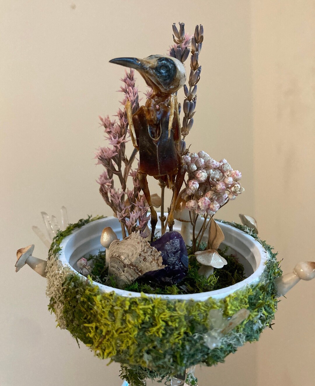 Cloche Dome Preserved Mummified Bird Dried Florals Crystals Mushrooms