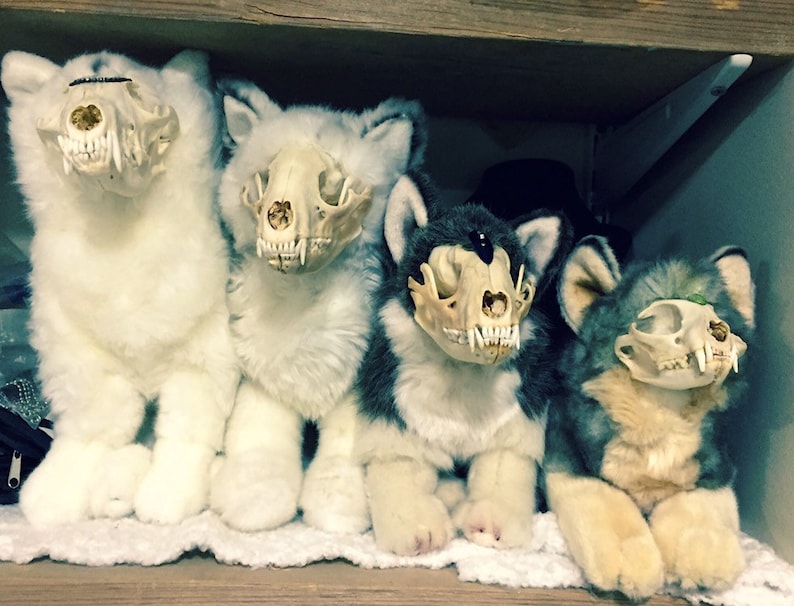 Artistic Freedom Skull Plush Real Bone Exposed Animal Etsy Canada