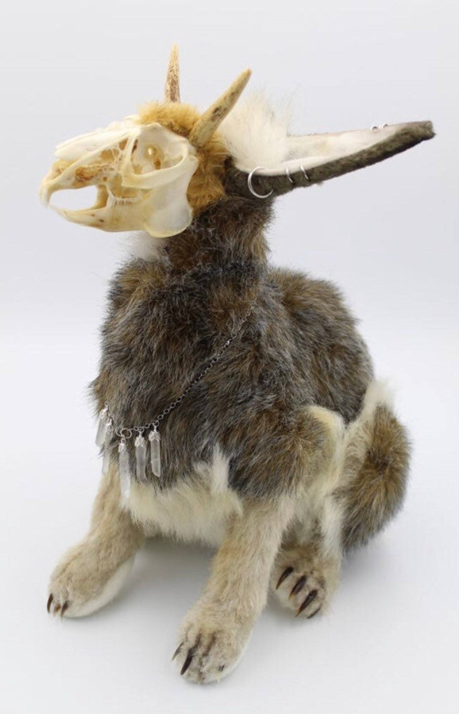 Artistic Freedom Skull Plush Real Bone Exposed Animal Etsy