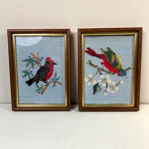 Vintage Pair of Framed Birds Needlepoint Project; Vintage Needlepoint in Frame