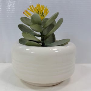 May include: A small, white ceramic pot with a succulent plant. The plant has green, oval-shaped leaves and a yellow flower with red accents. The pot has a rounded shape and a smooth, glossy finish.