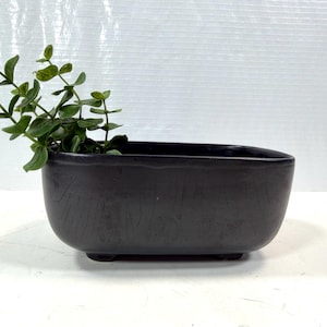 May include: A dark gray rectangular planter with rounded edges and small feet. The planter holds a green leafy plant, with some of the plant's stems extending over the edge. The planter has a textured surface.