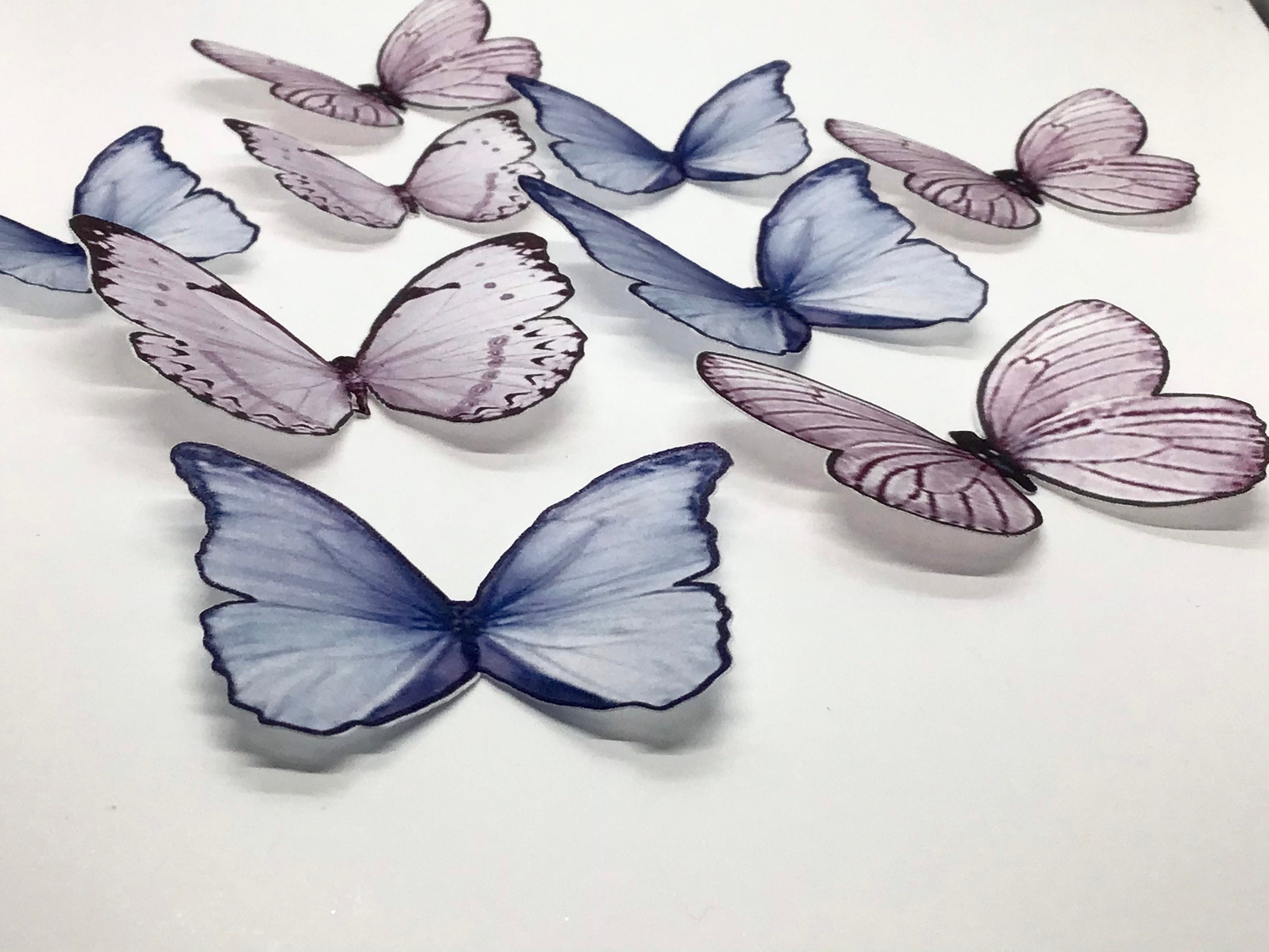Butterfly Life USA 蝶々　キャンバスF4号 24 PCS Purple & Blue Professional Edible Wafer Butterfly for