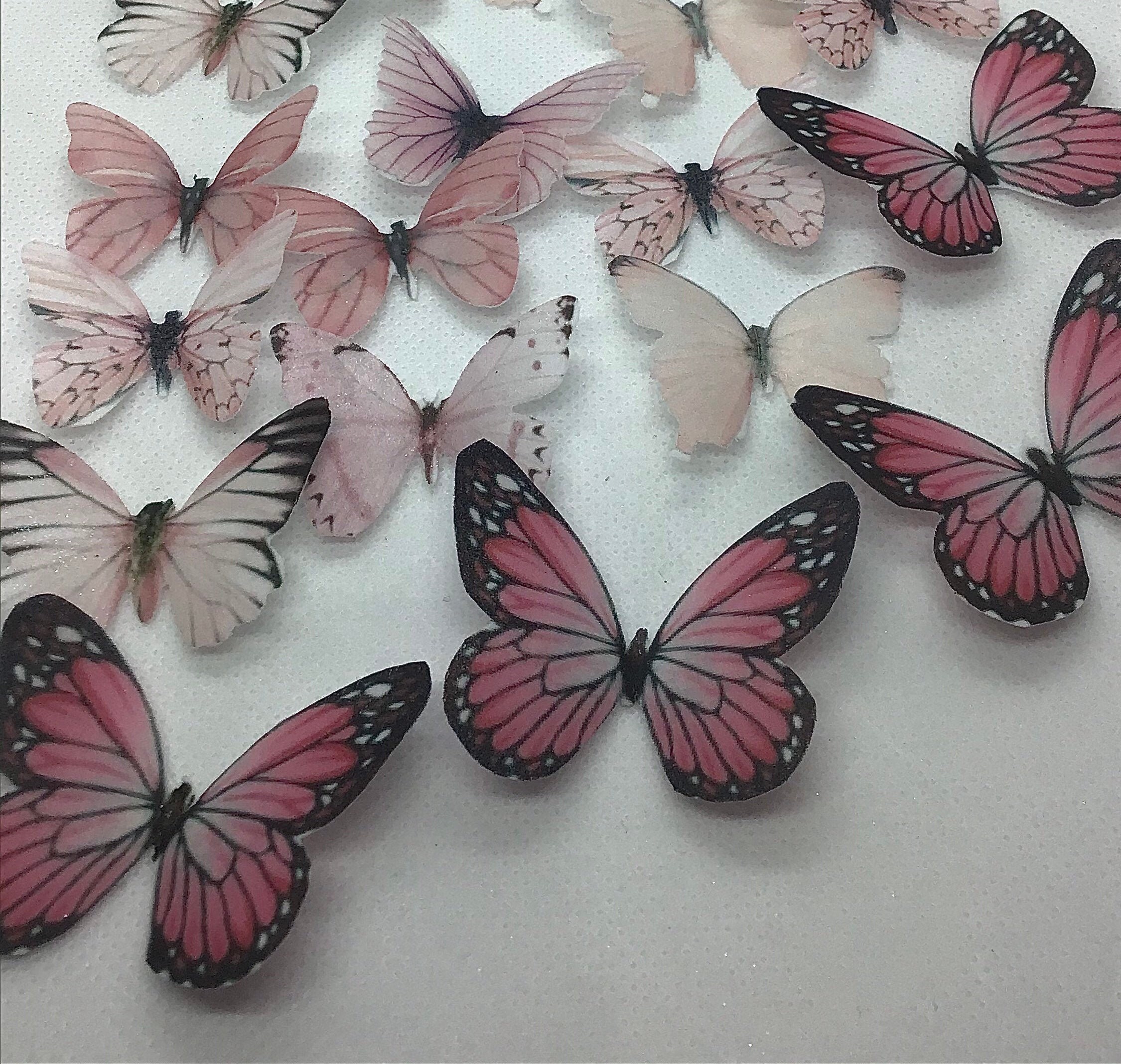 24 PCS set professional pink fancy edible wafer butterfly 4 | Etsy