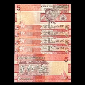 5 pcs x Gambia 5 Dalasis UNC Sequential 2019 Banknotes