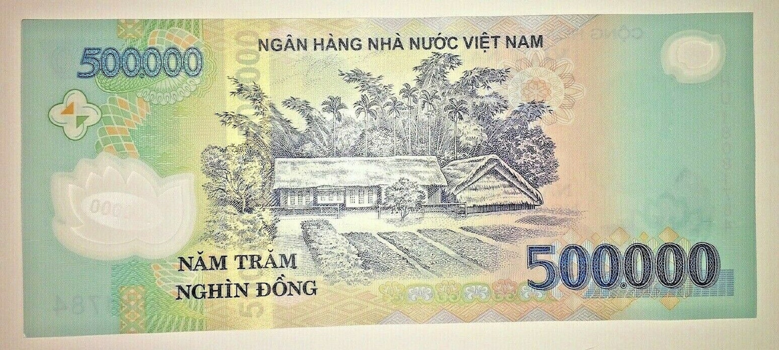 500000 Vietnamese Dong CIR Polymer Banknote One 500k 1/2 Etsy