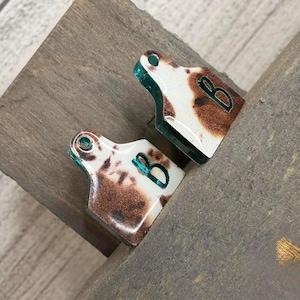 Può includere: Due targhette con motivo a pelle di mucca con base bianca e macchie marroni. Ogni targhetta ha un bordo turchese e la lettera "B" turchese. Le targhette sono probabilmente per un animale domestico o bestiame.