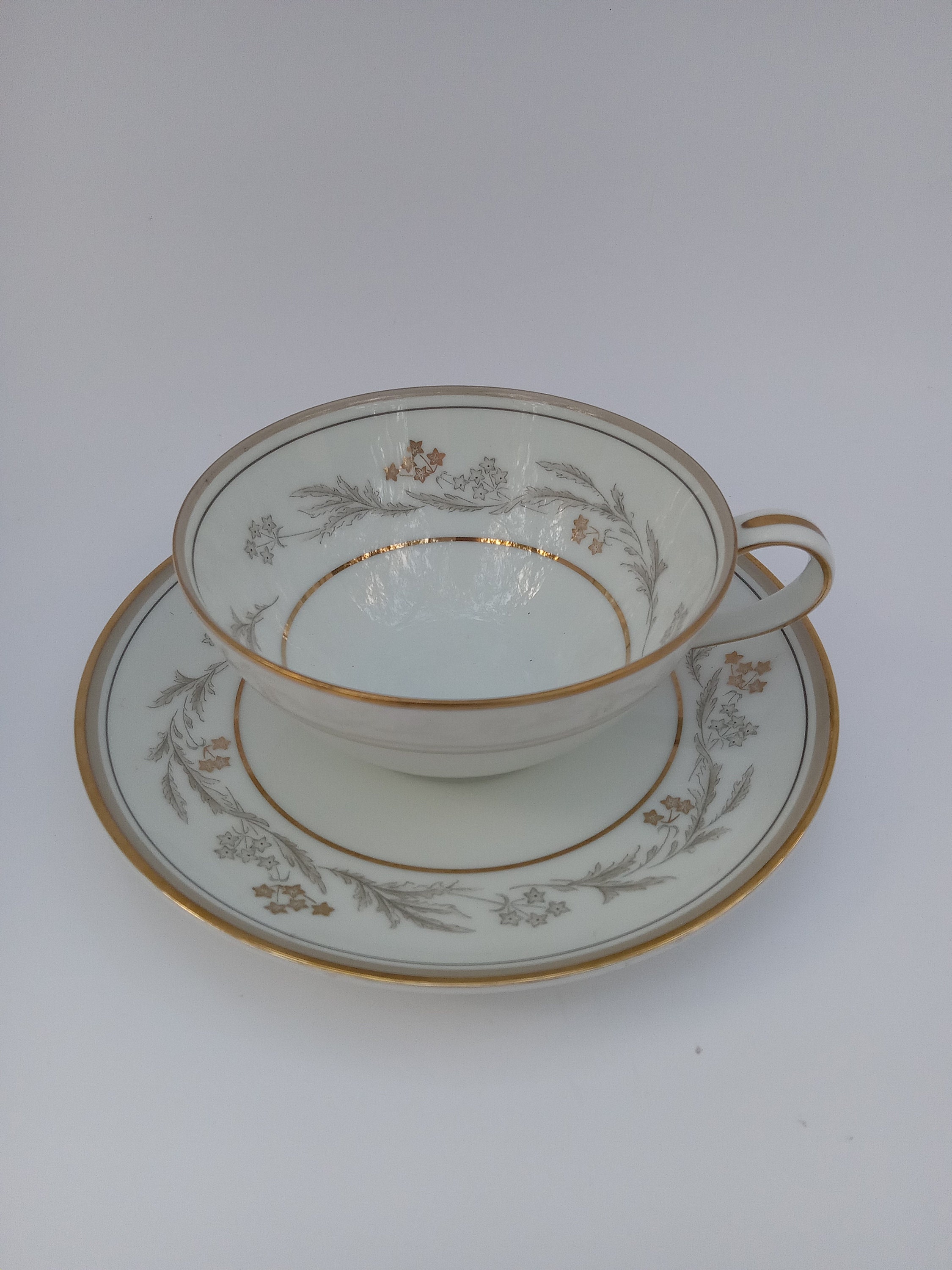 Vintage Noritake China Set, Discontinued Pattern Monica 5817, 5