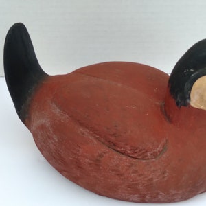 Vintage Ruddy Duck Decoy, Display Hunting Duck image 5