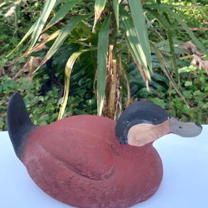 Vintage Ruddy Duck Decoy, Display Hunting Duck image 1