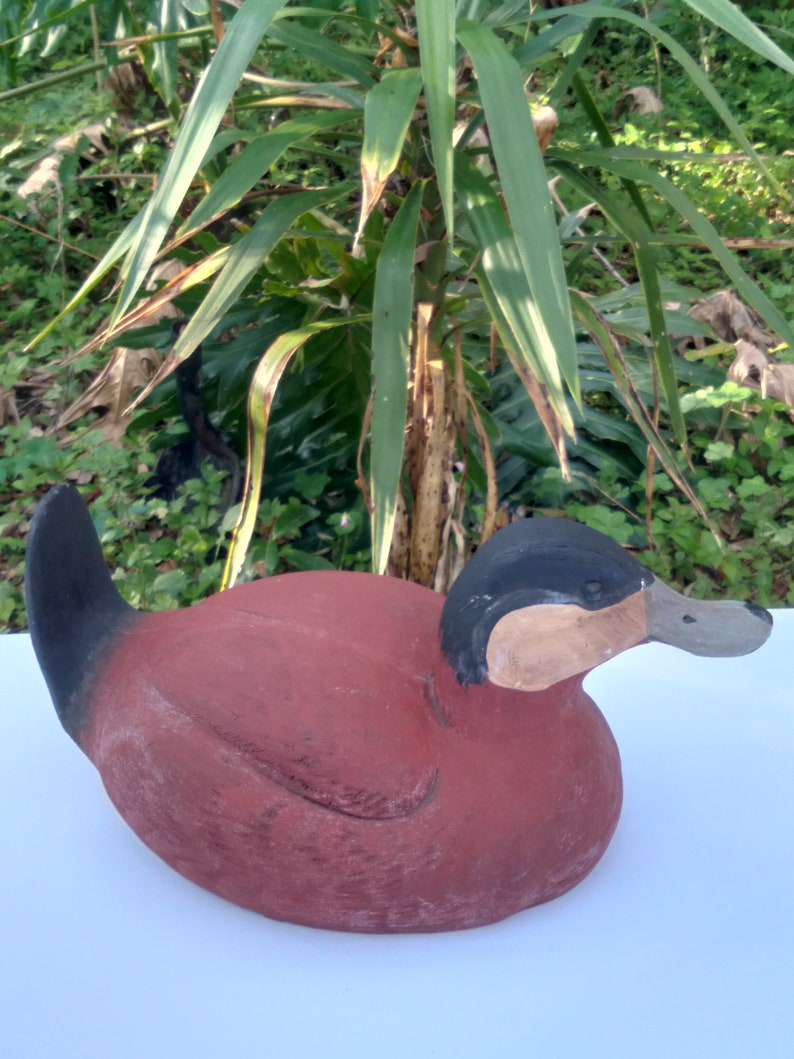 Vintage Ruddy Duck Decoy, Display Hunting Duck image 1