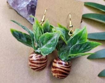 House Plant Earrings. Plant Jewelry. Plant Mom. Plant Lover. Plant Addict. Monstera Plant. Plant Vibes. Botanical Earrings. Leaf Earrings.