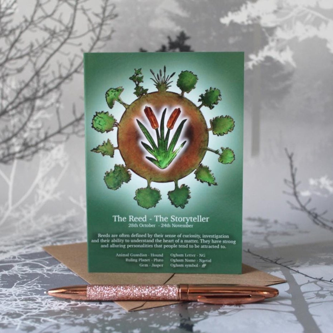 The Reed - Celtic Tree Calendar Card - 28th Oct - 24th Nov - Etsy UK