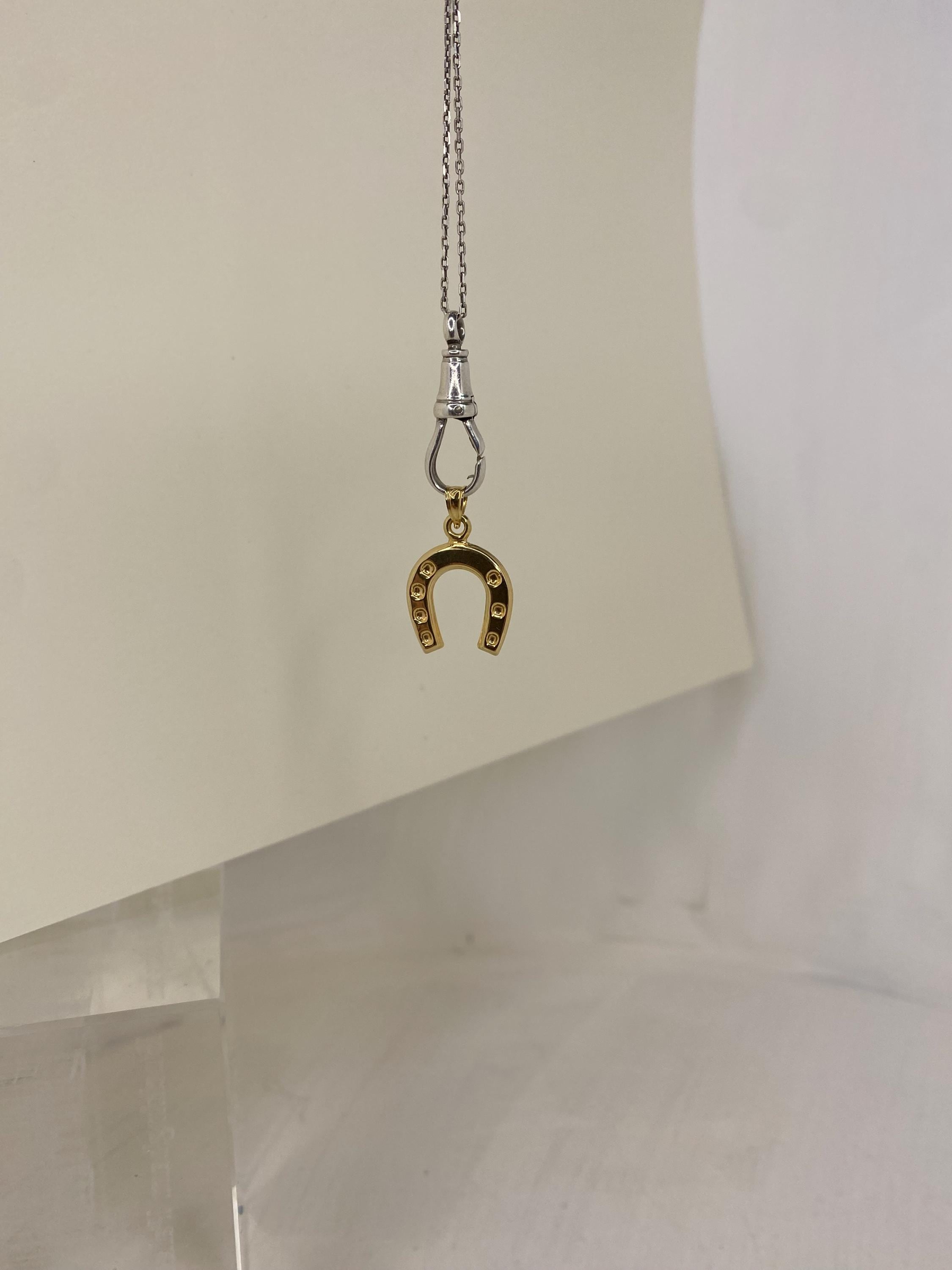 9ct Gold Horseshoe Necklace: Sterling Silver Chain, Carrie