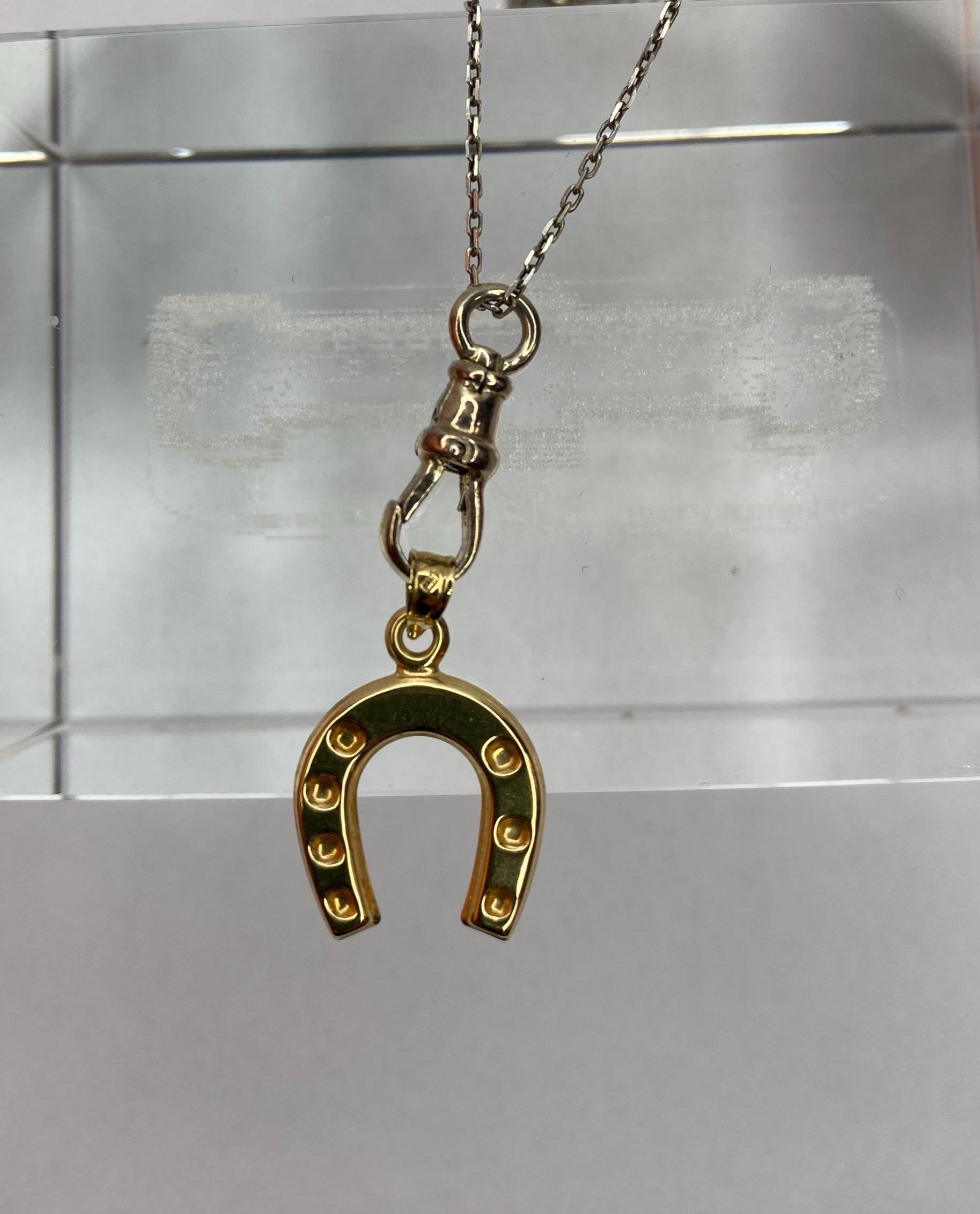 Carrie Bradshaw Horseshoe Necklace - Etsy Canada