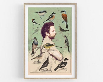 Póster de 'La ley de los pájaros': Impresión cómica y divertida