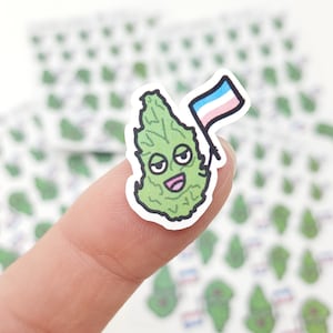 Autocollants Trans Pride Buddies *Retrait de la conception - stock final* | Stickers cannabis, sticker marijuana, drapeau de la fierté trans, stickers LGBTQIA+