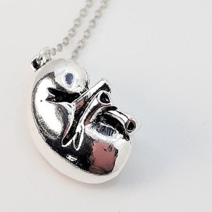 Kidney Necklace Anatomical Renal Jewelry Jewellery Kidney Transplant Gift Graduate Gift Renal Science Nephrology Present Nurse Doctor Unisex