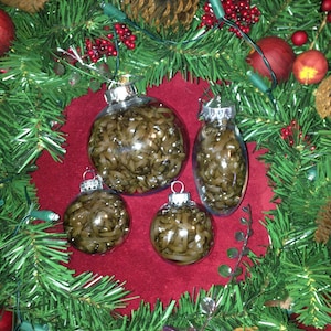 May include: Four clear glass ornaments filled with brown curly ribbon, hanging from a green artificial Christmas tree with red berries and pine cones.