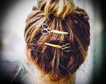 Scissor hair clip (1)