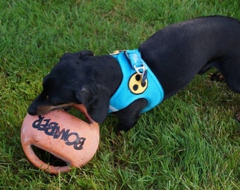 Leinen-Banderole "Nicht STREICHELN" - Klettband Für Hunde Bis 2,5cm Leinenbreite