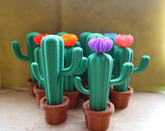 Decoración de cactus para el hogar o la oficina, maceta de cactus impresa en 3D