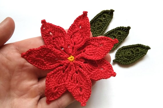 Ericetion Pinsulla Rossa di Poche Orche di Natale, Rossa