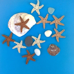 May include: A collection of crocheted starfish in shades of brown and beige, scattered with smooth stones and seashells on a bright blue background. The arrangement evokes a beach theme, perfect for coastal decor or crafts.