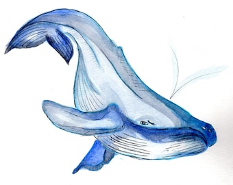 Blue Whale watercolor painting.  Ocean art.  Whale art in watercolor.