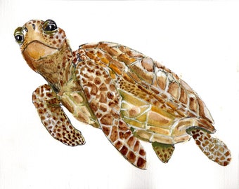 Brown Sea Turtle #2 in watercolor painting.  Orginal not print.