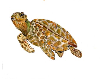 Sea Turtle watercolor painting.  Brown sea turtle original painting not a print